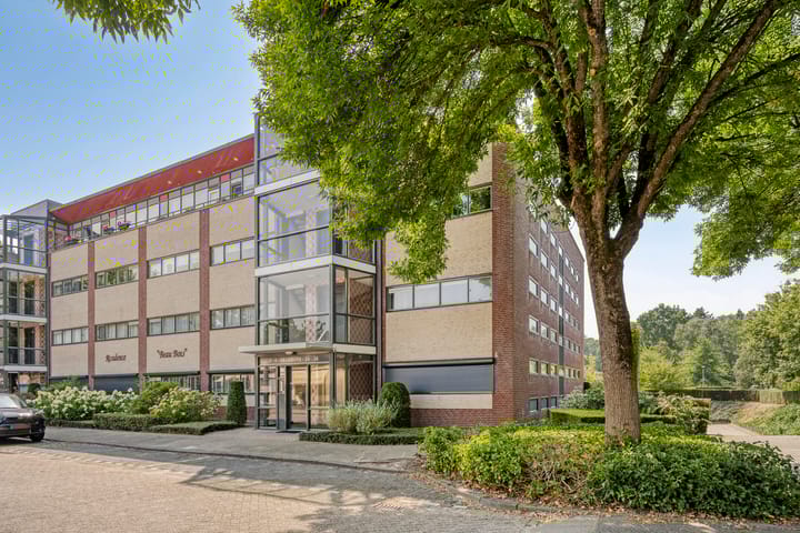 Foto 1 van Aalscholver 4