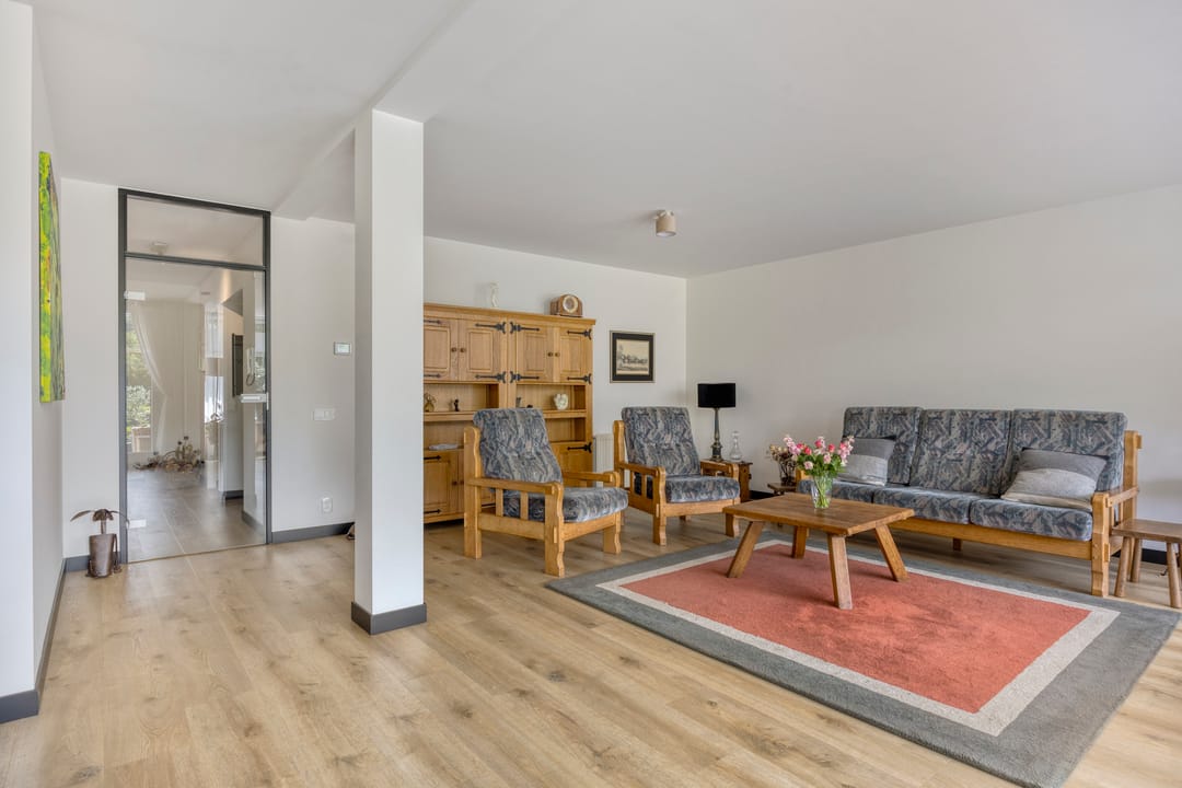 Photo 2 of Aalscholver 4