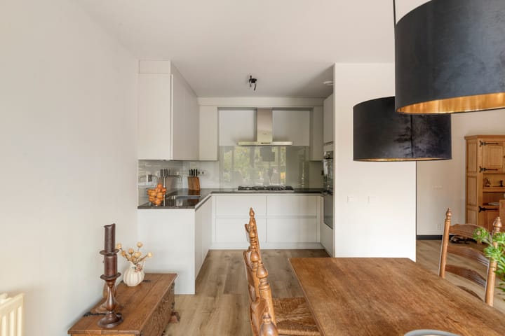 Foto 3 van Aalscholver 4