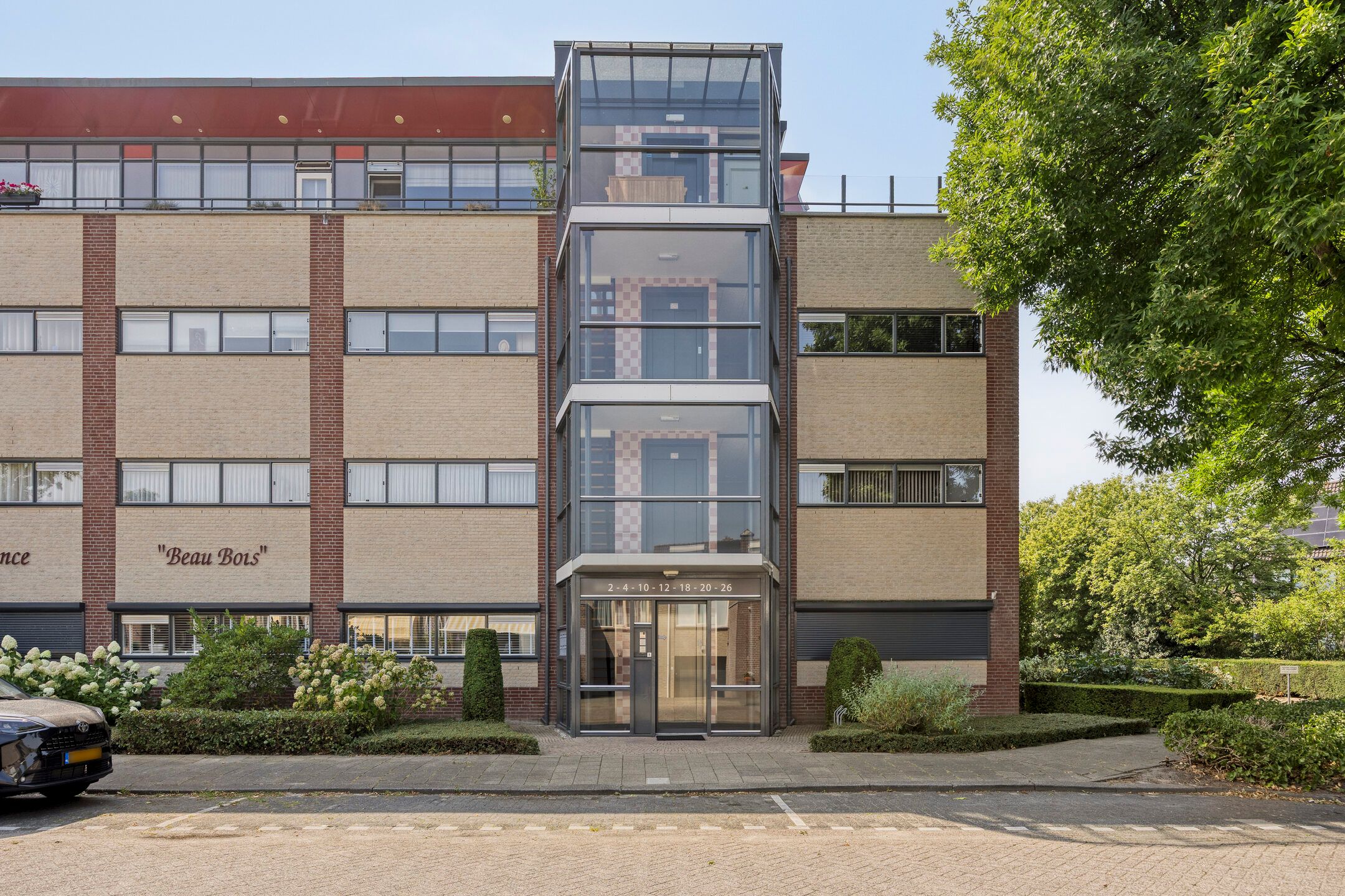 Photo 6 of Aalscholver 4