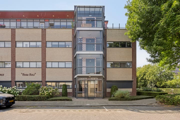 Foto 6 van Aalscholver 4