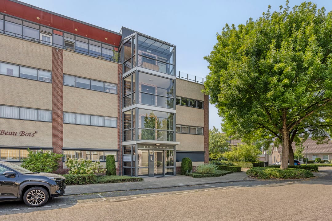 Photo 7 of Aalscholver 4