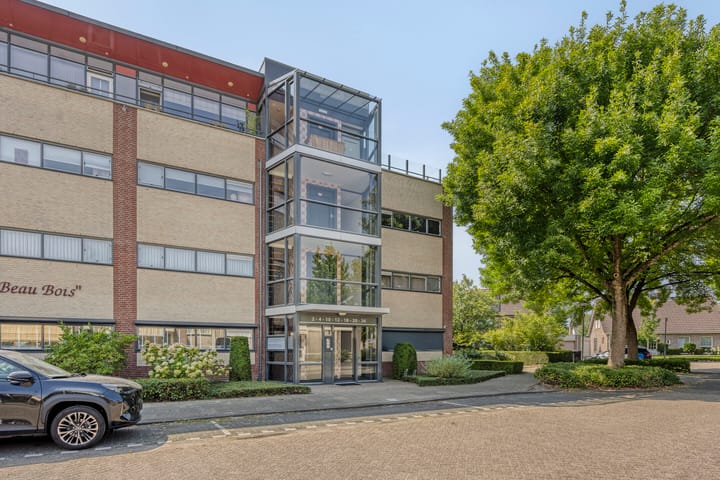 Foto 7 van Aalscholver 4