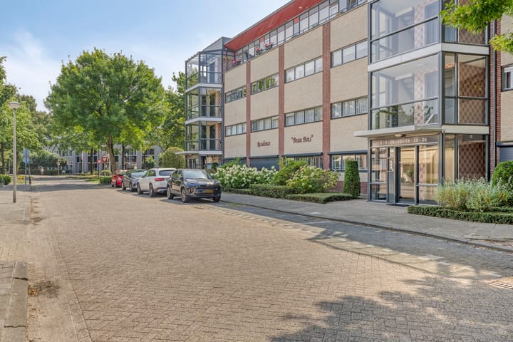 Foto 8 van Aalscholver 4