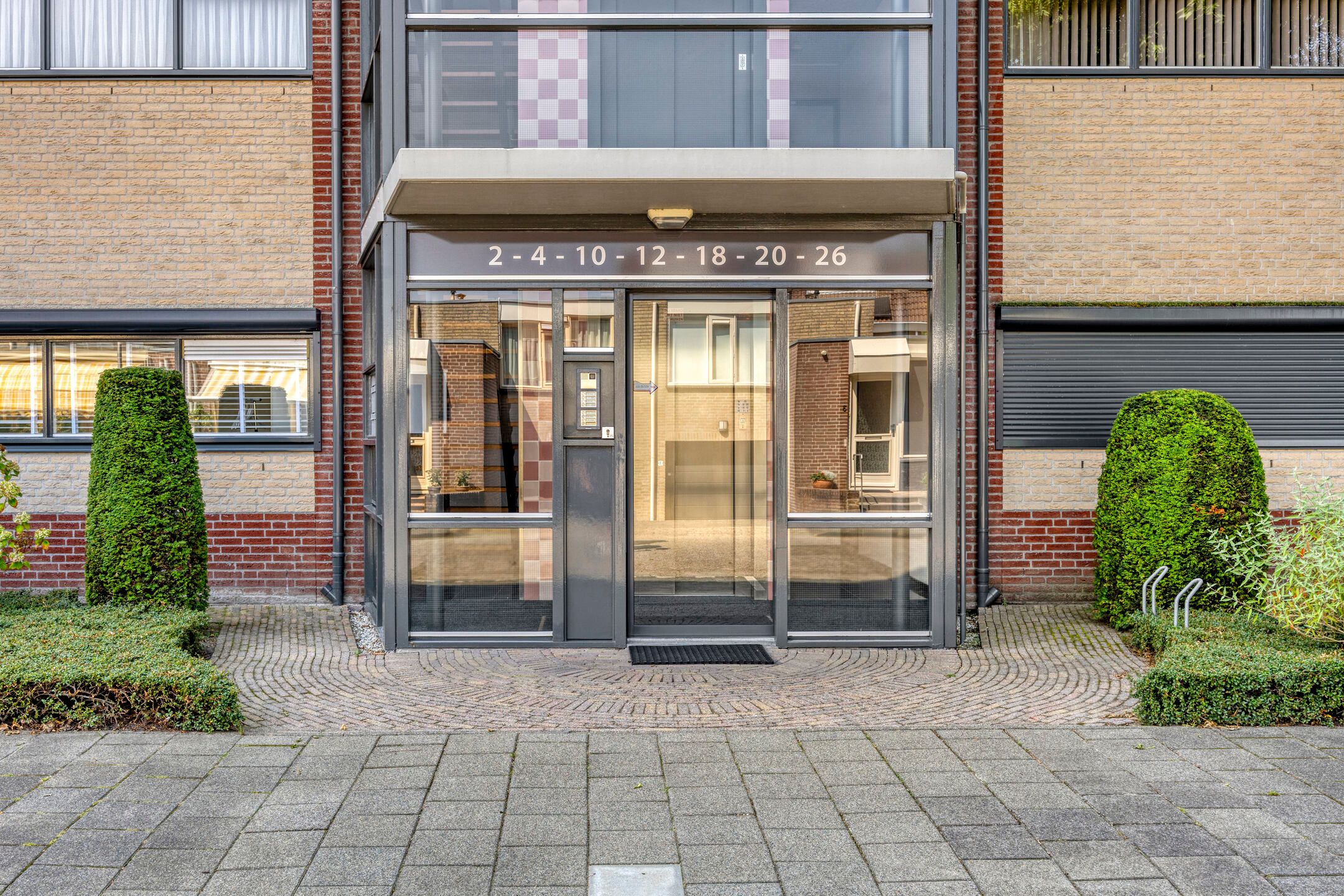 Photo 9 of Aalscholver 4