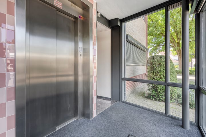 Foto 10 van Aalscholver 4