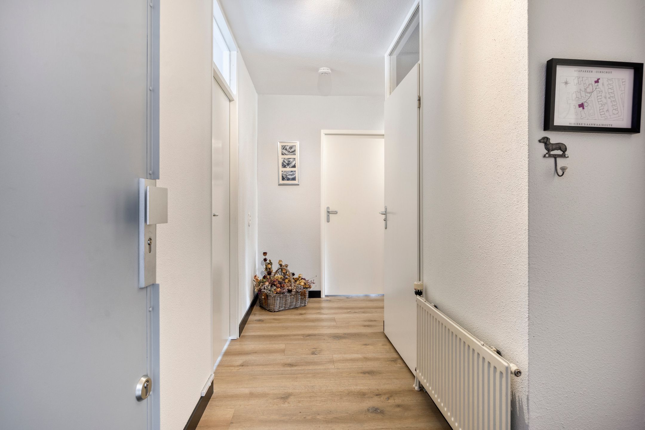 Photo 12 of Aalscholver 4