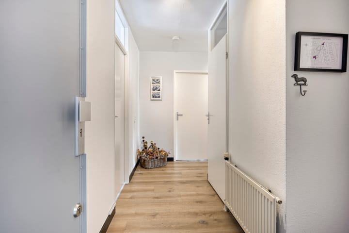 Foto 12 van Aalscholver 4