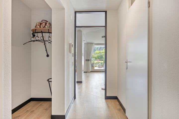 Foto 14 van Aalscholver 4