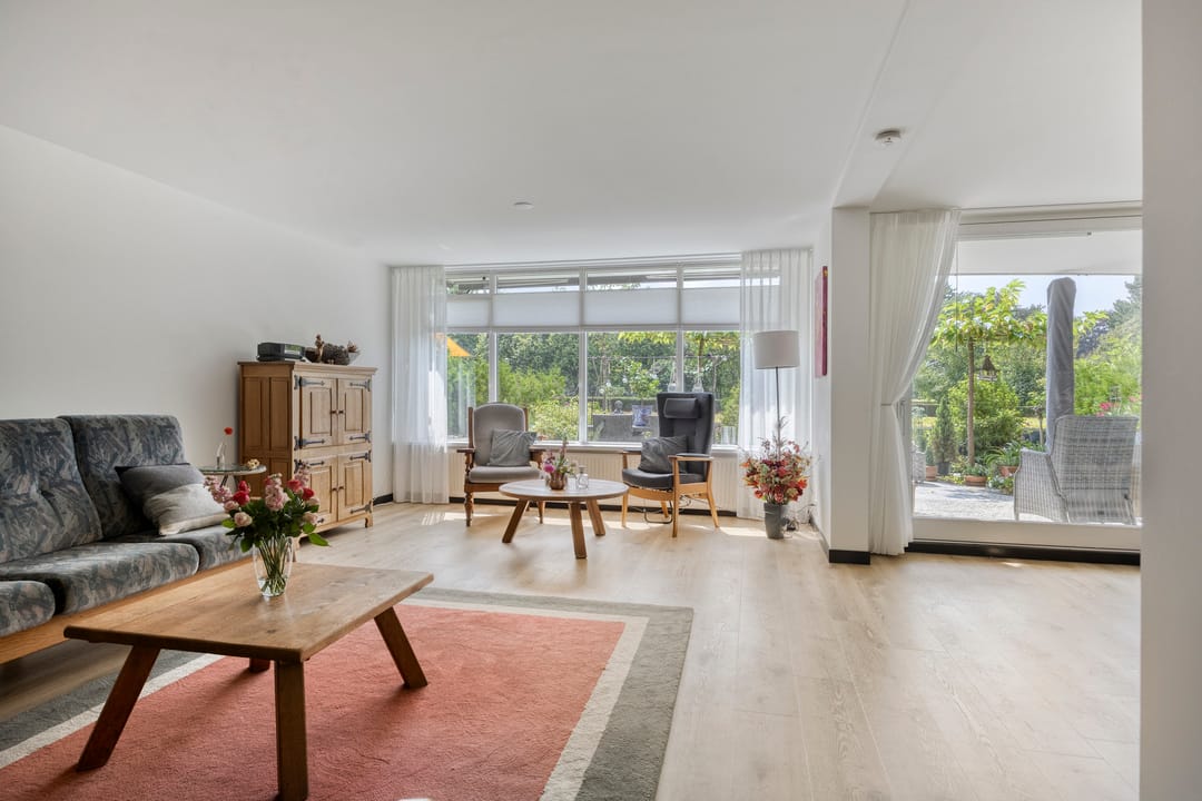 Photo 16 of Aalscholver 4