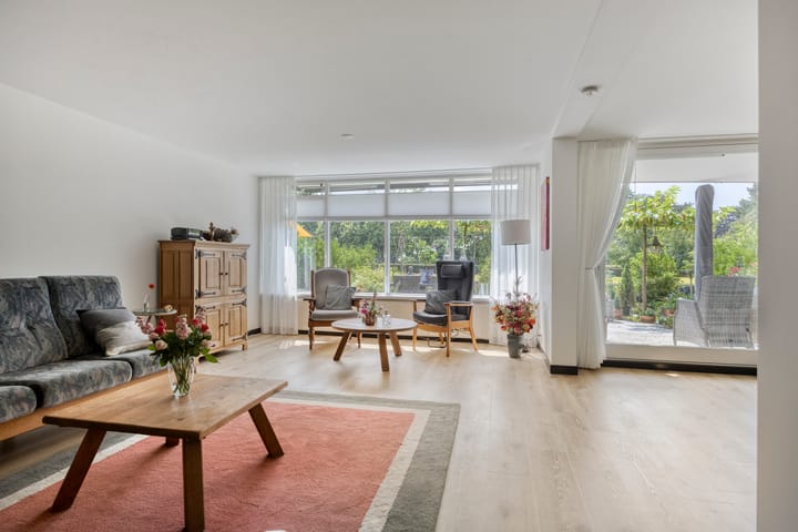 Foto 16 van Aalscholver 4