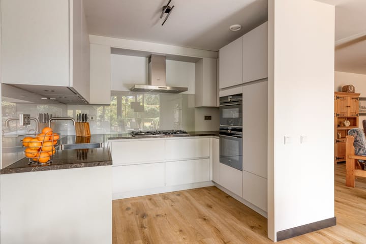 Foto 23 van Aalscholver 4