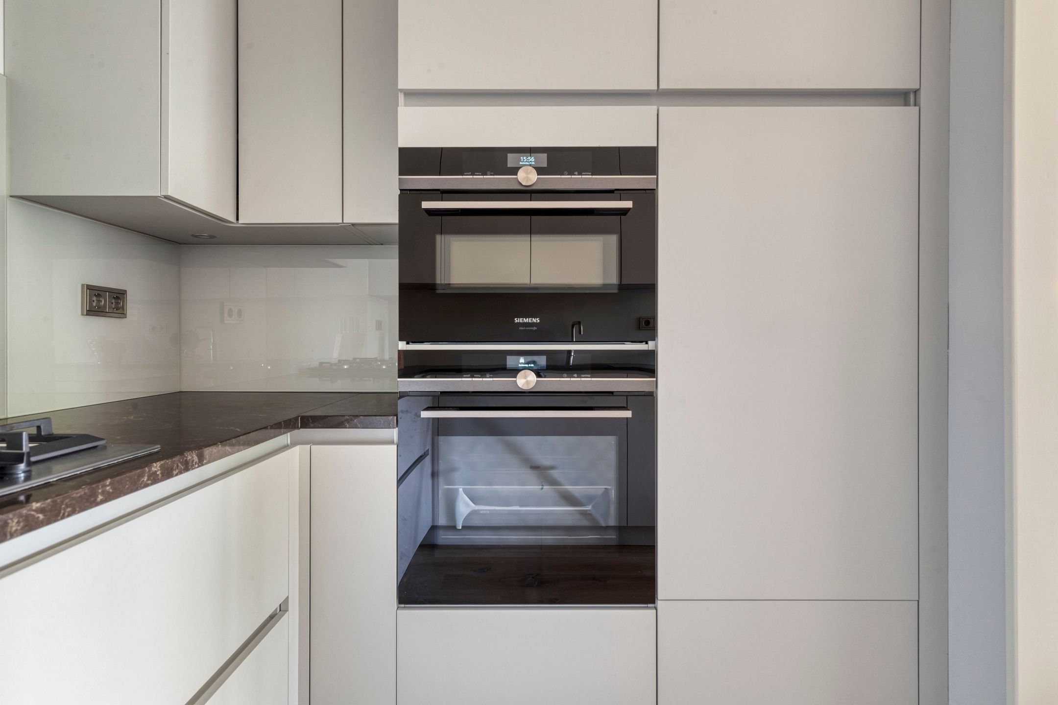 Photo 24 of Aalscholver 4