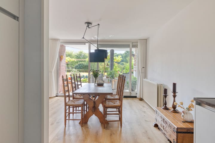 Foto 25 van Aalscholver 4