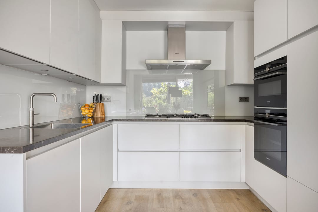 Photo 26 of Aalscholver 4