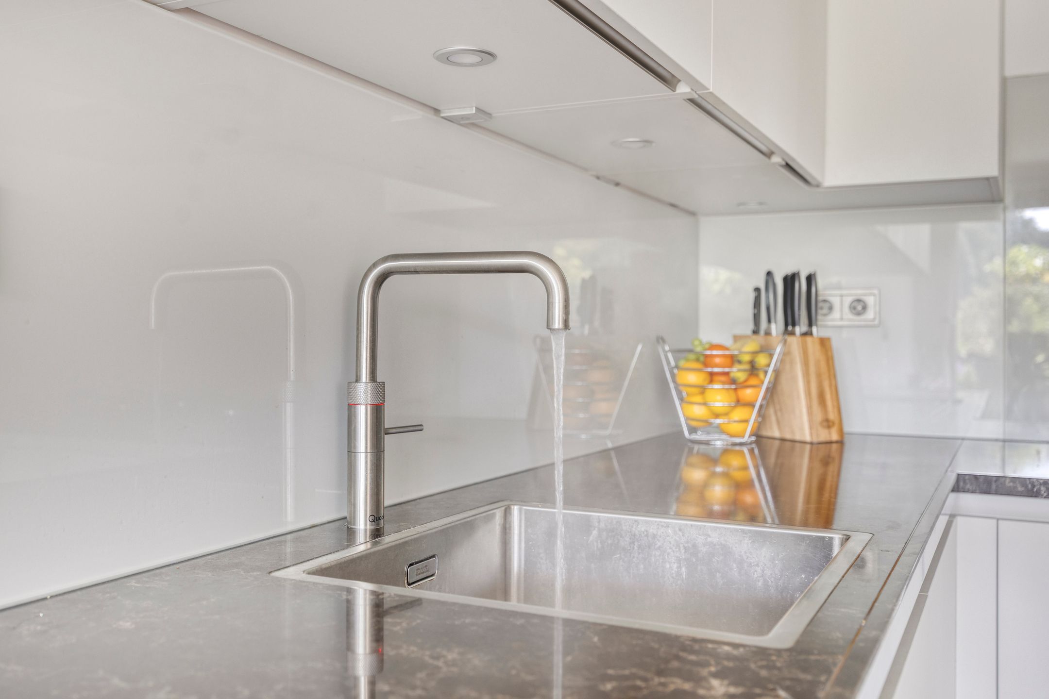 Photo 27 of Aalscholver 4