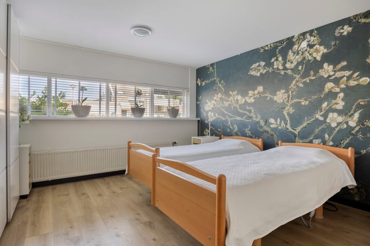 Foto 28 van Aalscholver 4