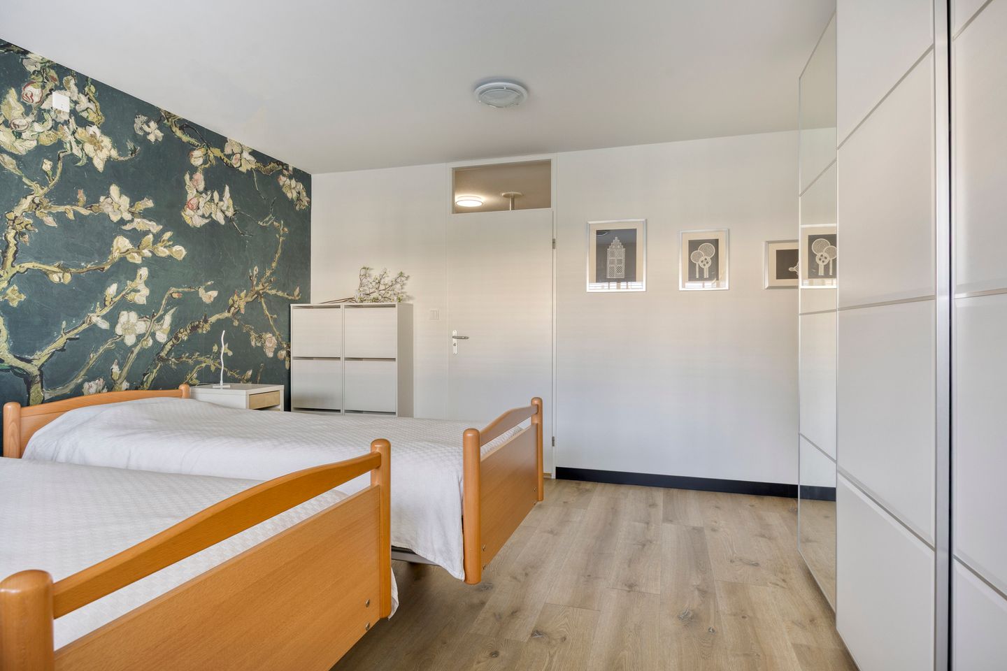 Photo 29 of Aalscholver 4