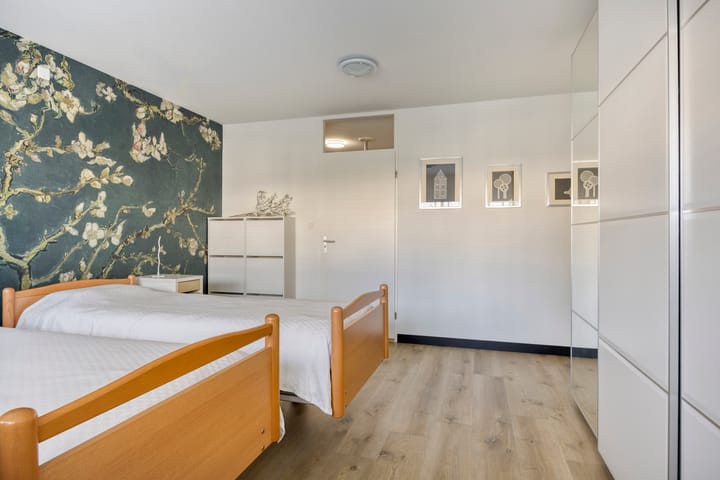 Foto 29 van Aalscholver 4