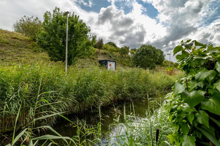 Foto 36 van Rietgors 169-B