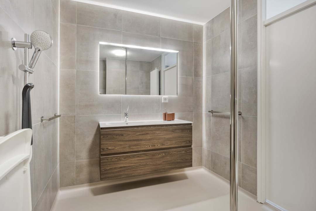 Photo 31 of Aalscholver 4