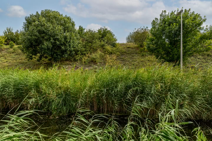 Foto 37 van Rietgors 169-B