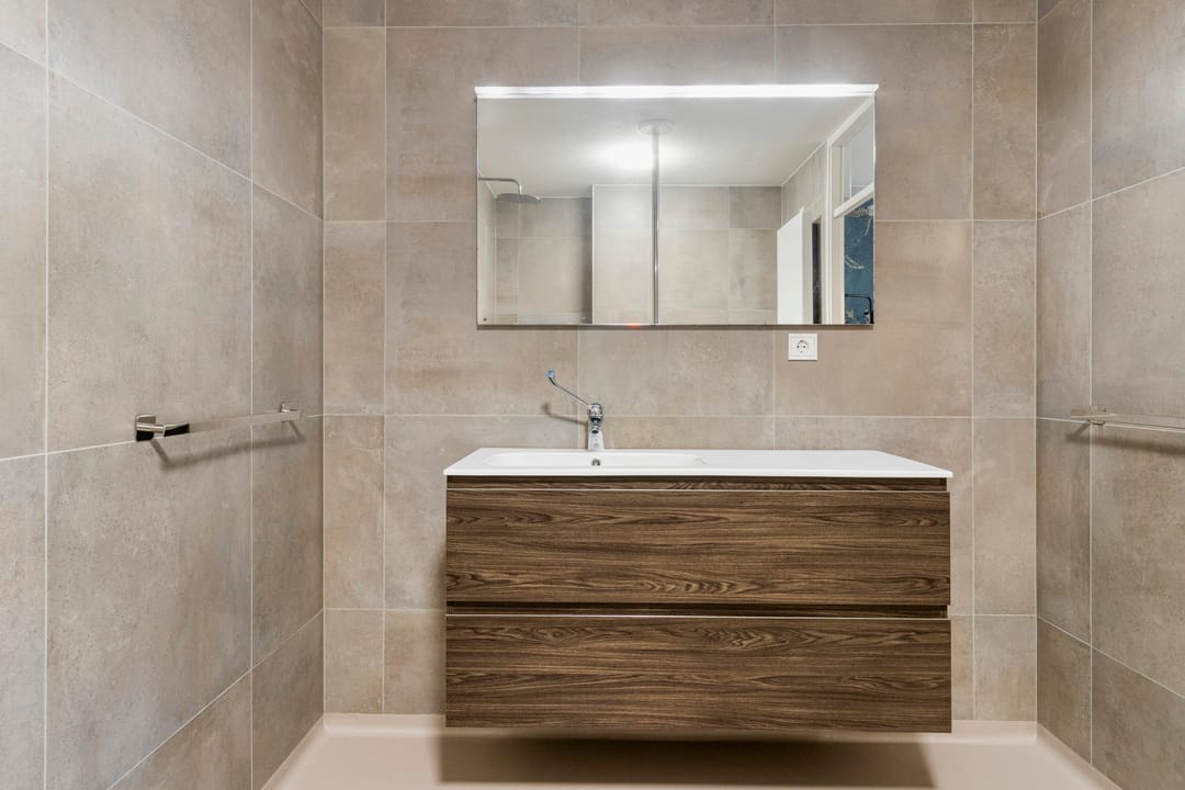 Photo 32 of Aalscholver 4