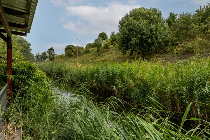 Foto 38 van Rietgors 169-B