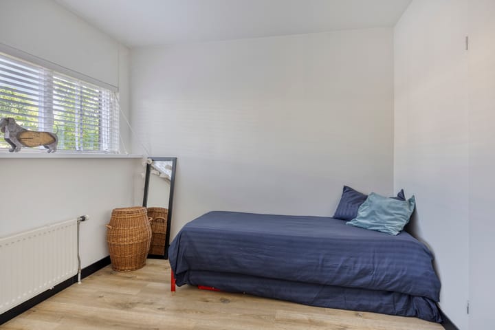 Foto 35 van Aalscholver 4