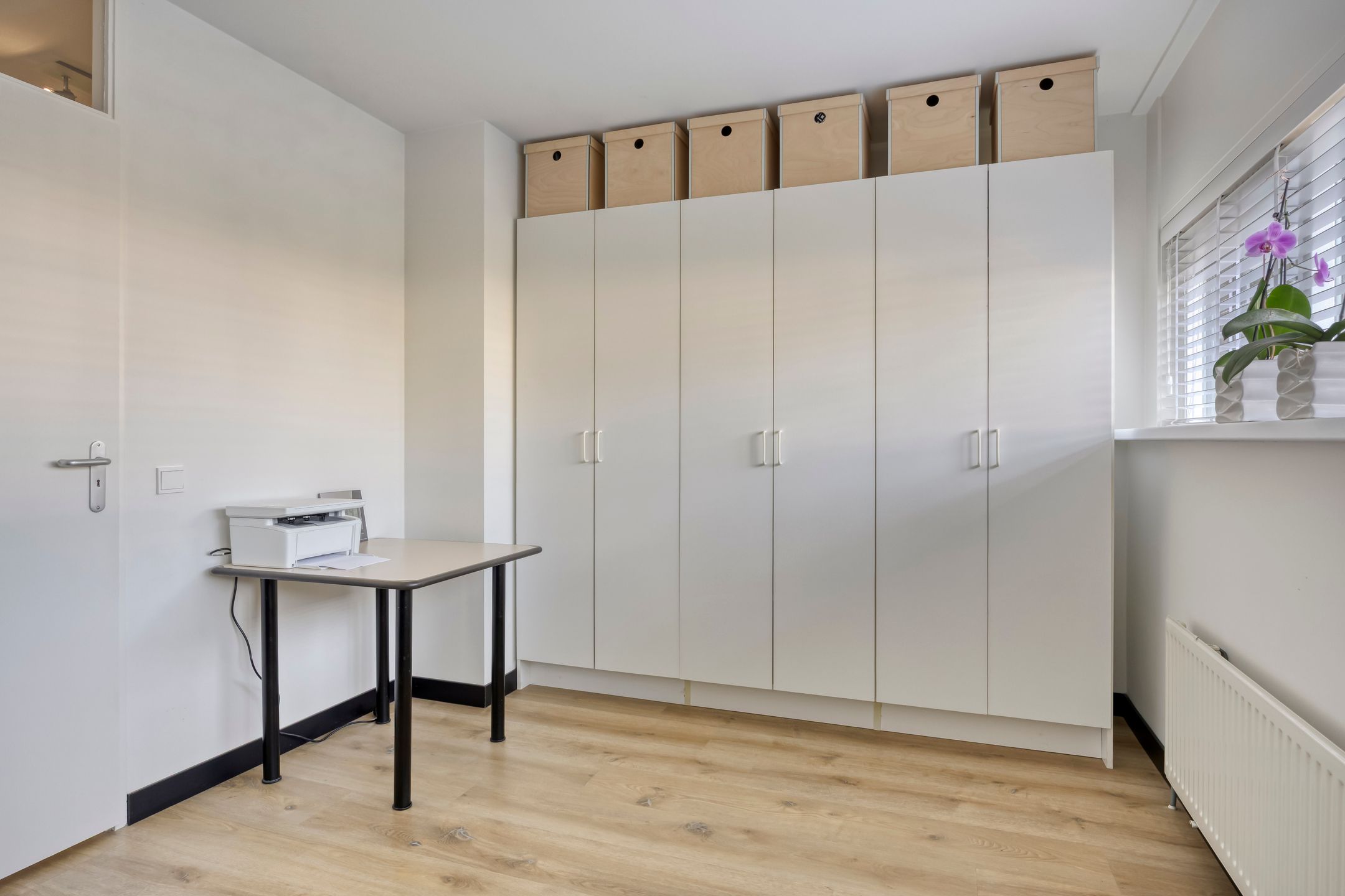 Photo 36 of Aalscholver 4