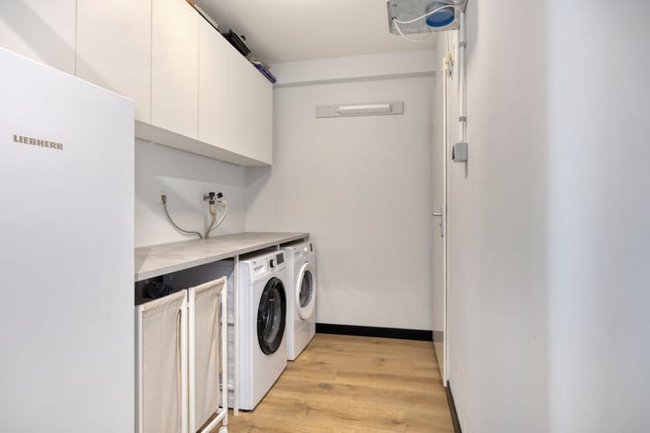 Foto 37 van Aalscholver 4