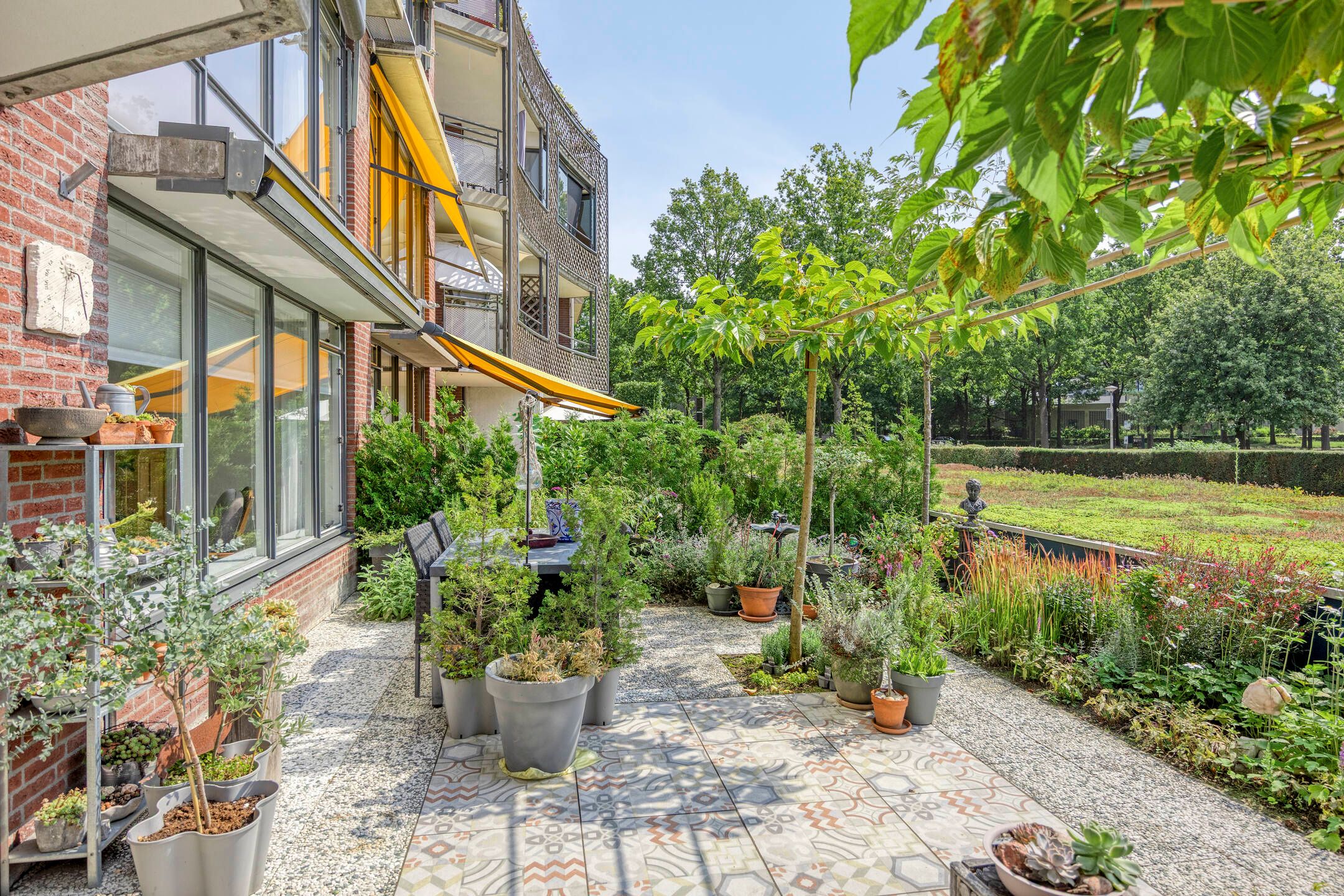 Photo 39 of Aalscholver 4