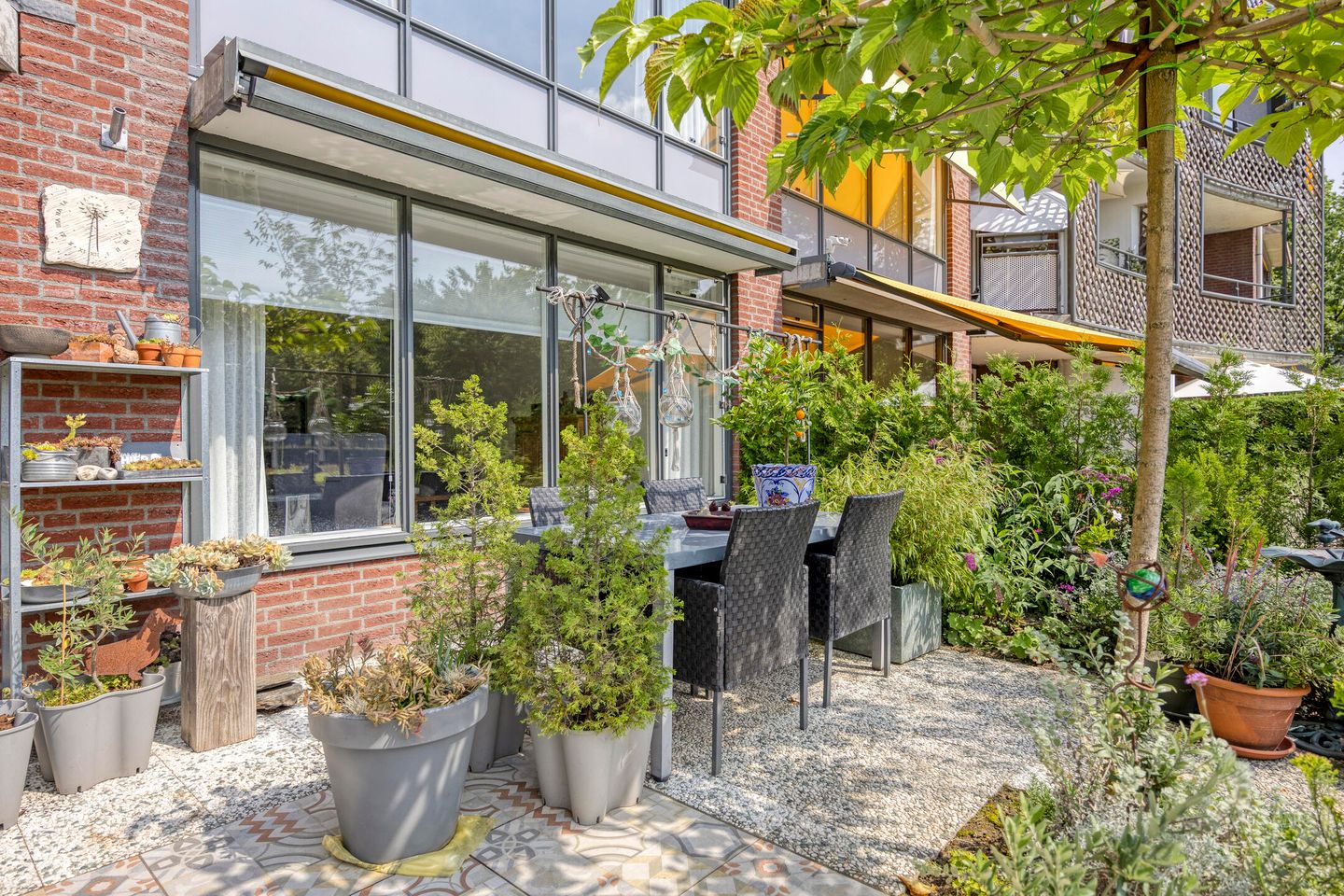 Photo 40 of Aalscholver 4