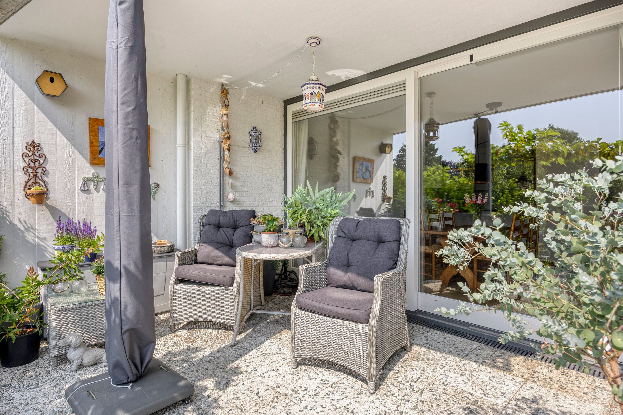 Photo 42 of Aalscholver 4