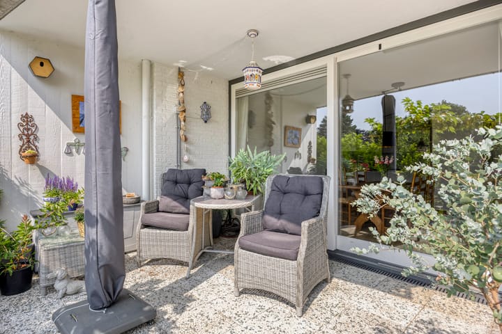 Foto 42 van Aalscholver 4