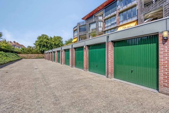 Foto 43 van Aalscholver 4