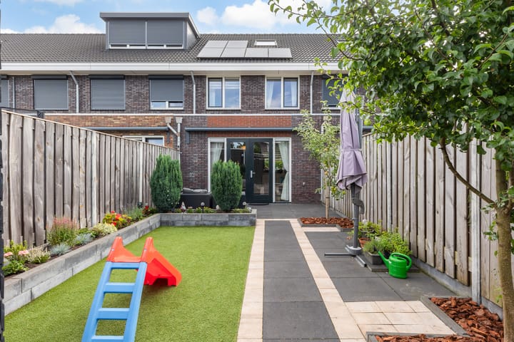 Foto 2 van Vliegenzwam 133