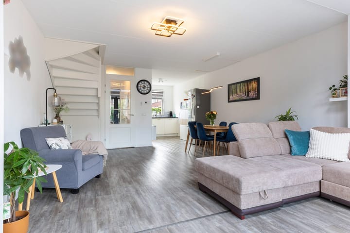 Foto 5 van Vliegenzwam 133