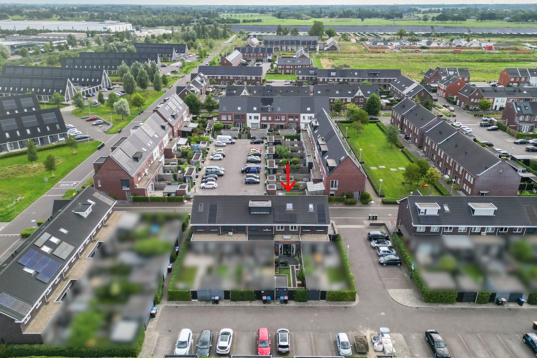 Foto 13 van Vliegenzwam 133