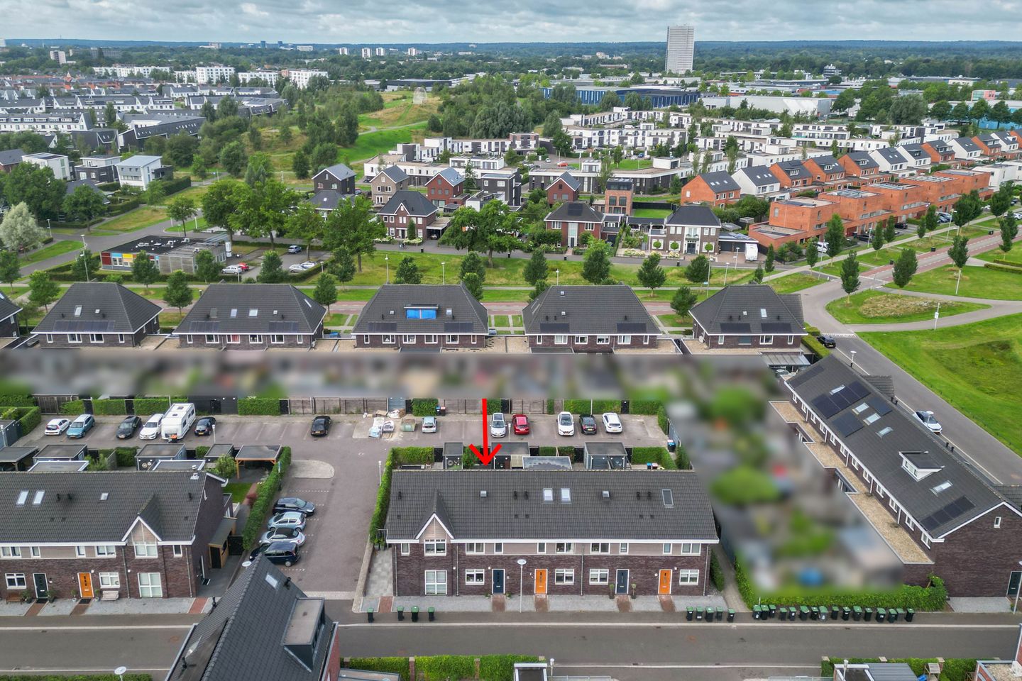 Foto 14 van Vliegenzwam 133