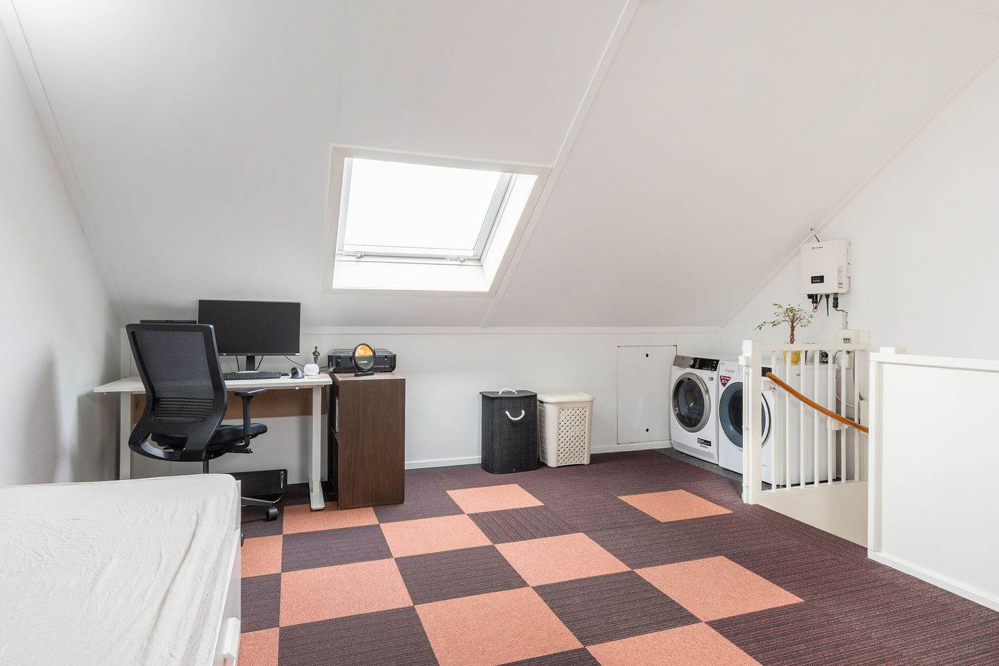 Foto 25 van Vliegenzwam 133