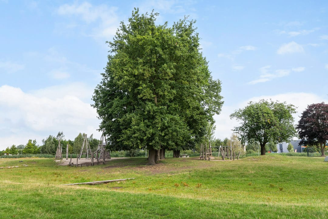 Foto 31 van Vliegenzwam 133