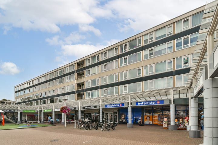 Van Oldenbarneveltplein 102