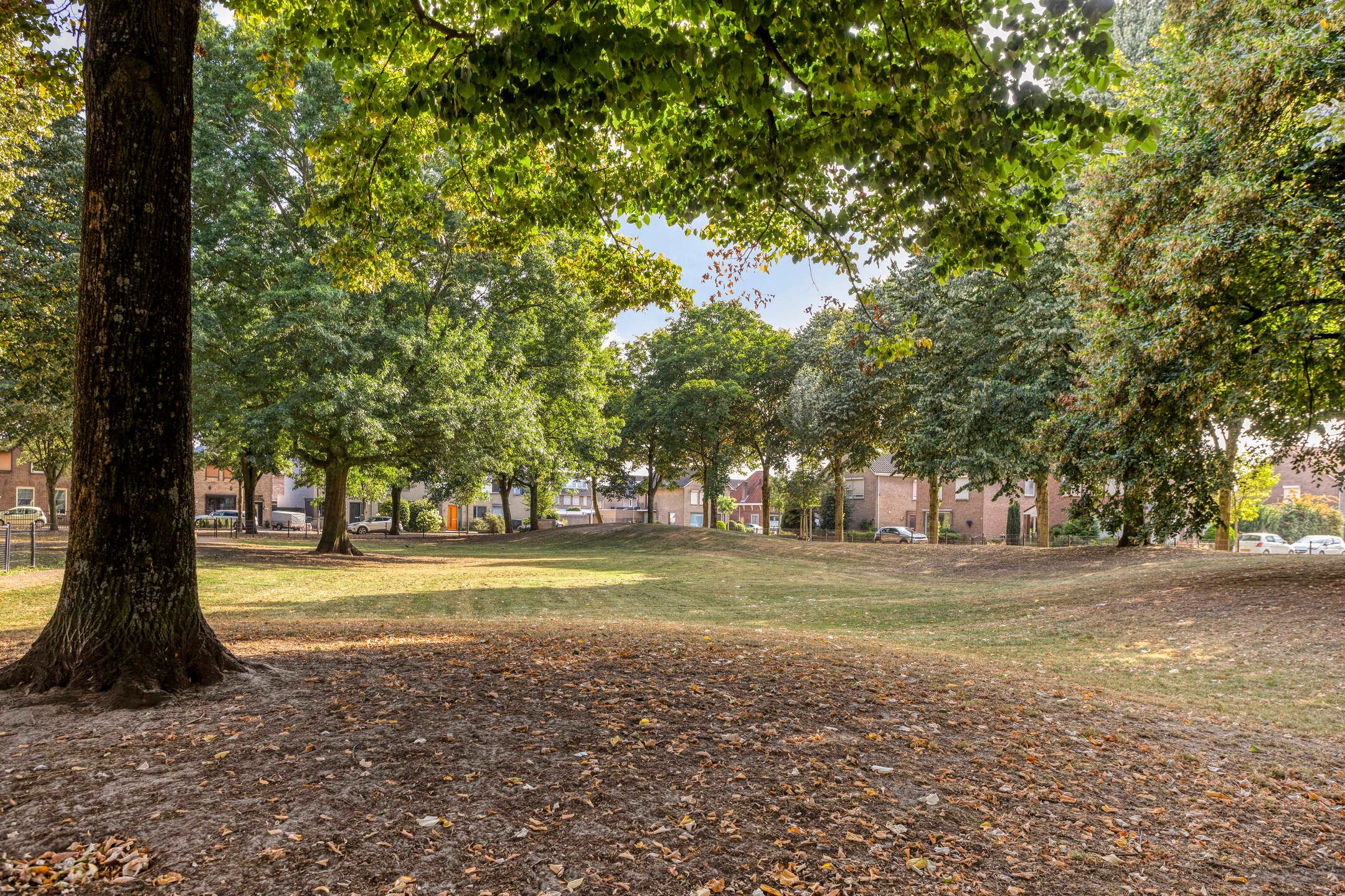 Foto 39 van Schadewijkstraat 42