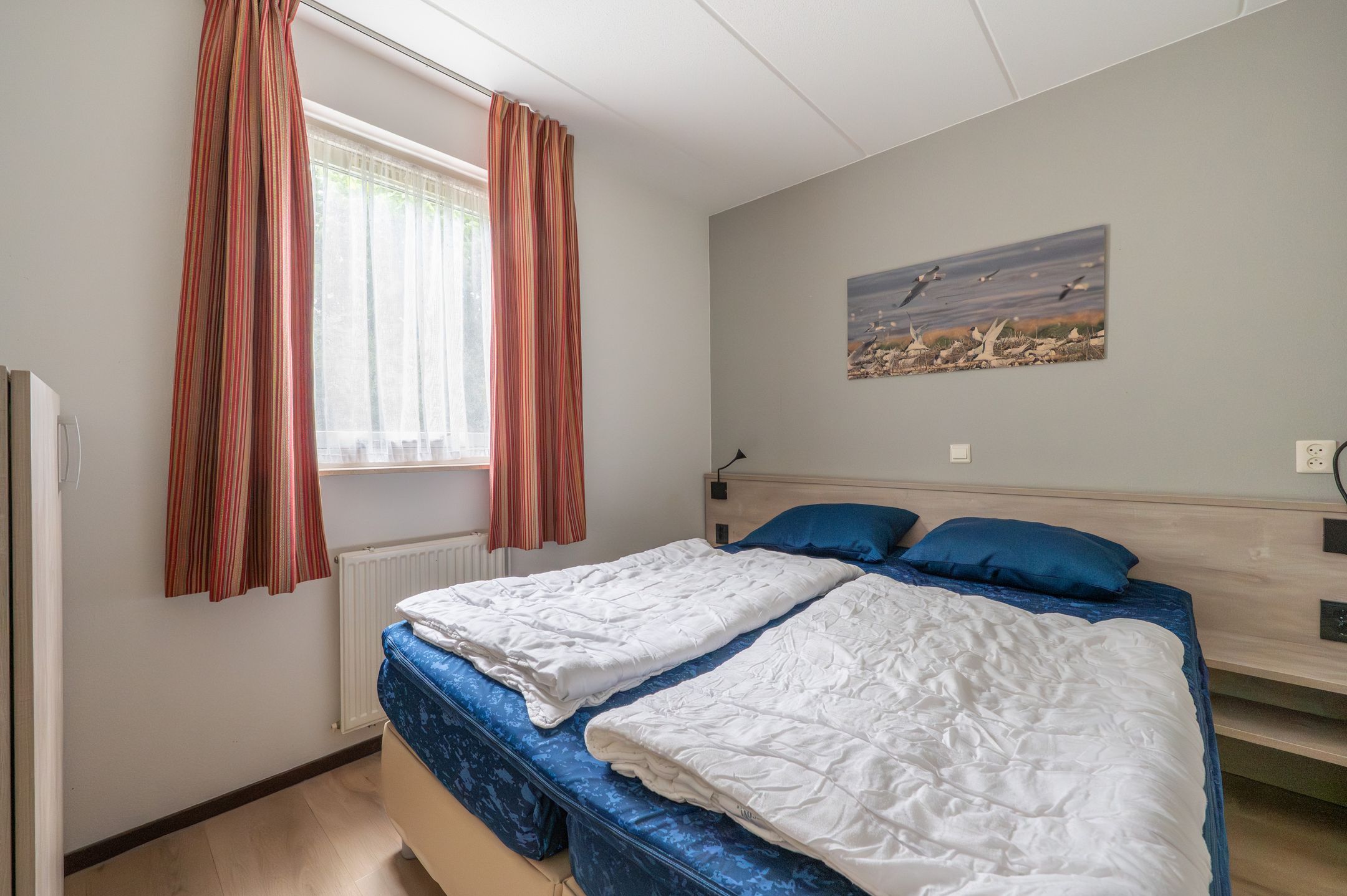 Photo 18 of De Rug 3-073