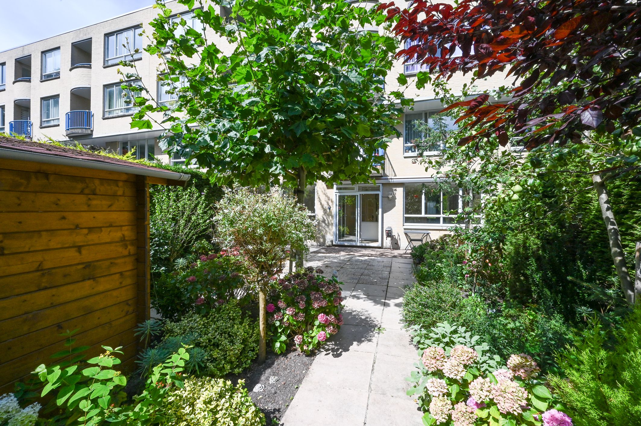 Foto 9 van Margarethaland 203