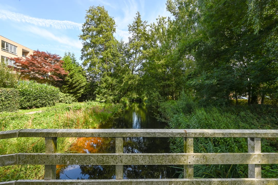 Foto 23 van Margarethaland 203