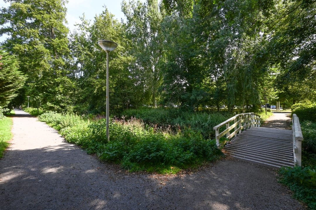 Foto 28 van Margarethaland 203