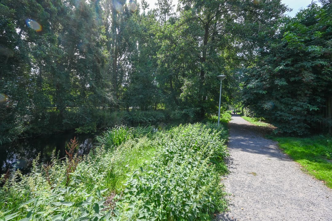 Foto 31 van Margarethaland 203