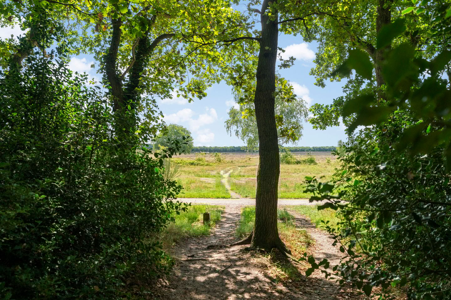 Foto 29 van Anthonie Fokkerstraat 80